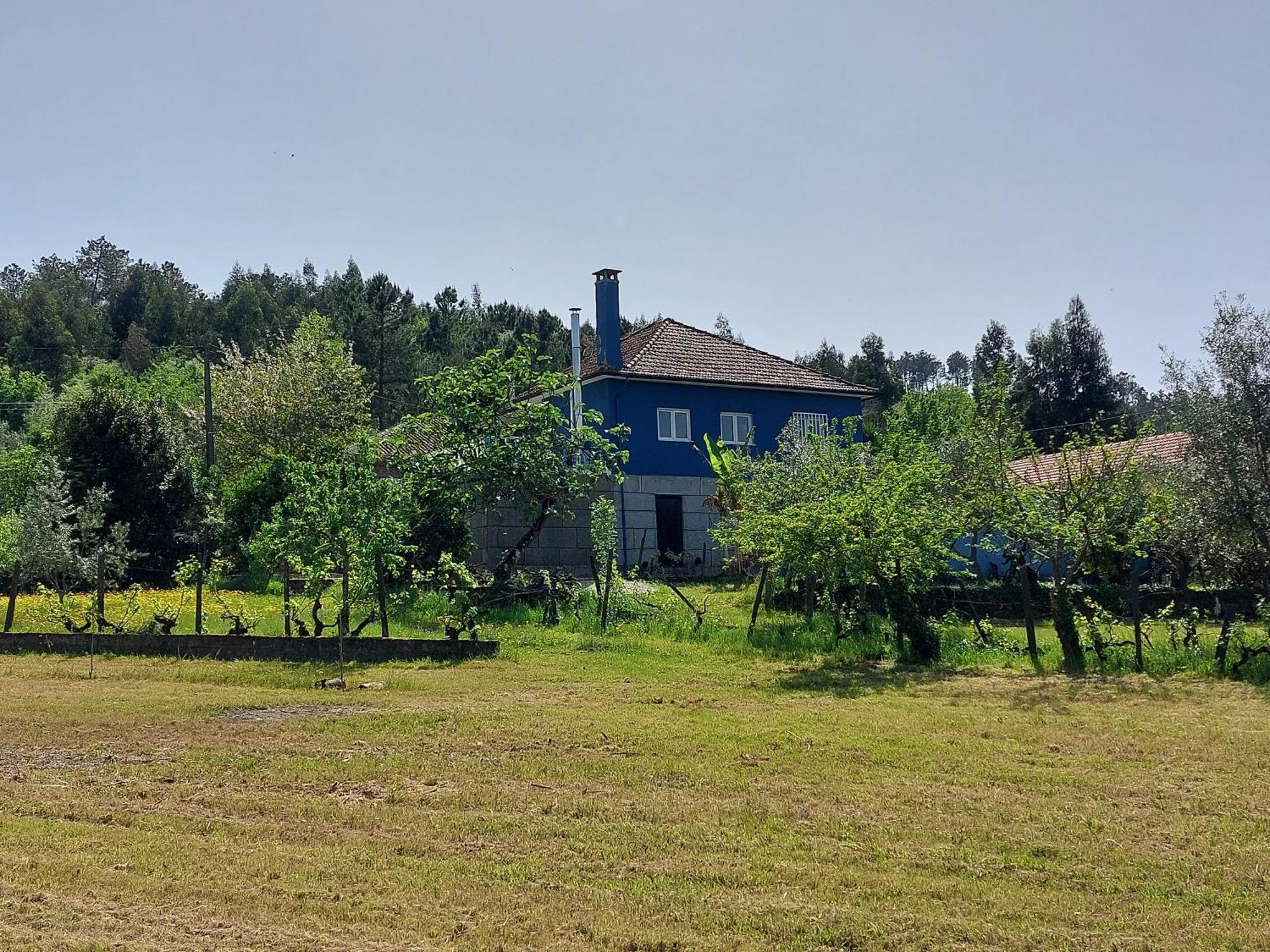 Casa Azul Vales Villa Penalva do Castelo Buitenkant foto